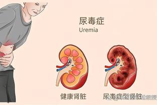 半岛电子竞技官网网址是多少啊截图4